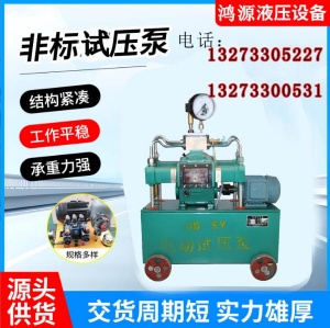 廠家4DSY型電動系列試壓泵安裝與使用