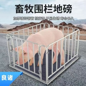 畜牧圍欄地磅