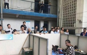 高中畢業(yè)女生學(xué)造價員好嘛？