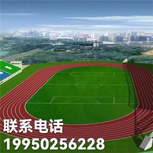 國標體育足球場人造草坪施工鋪設定制