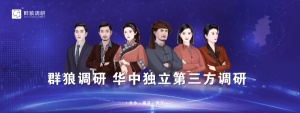 什么是消費者需求研究？|群狼調研（南昌問卷調查）