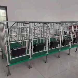 母豬限位欄