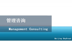 北京個人代寫企業戰略規劃和發展規劃-趙老師