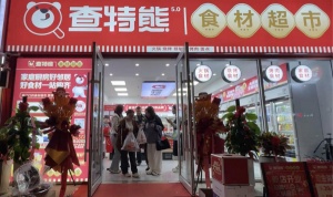 查特熊食材超市：生日驚喜的“美味救星”