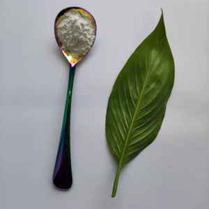 鋰電池正負極間隔膜為什么涂覆納米氧化鋁CY-LA500G