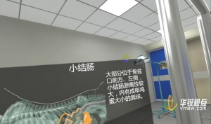 VR 馬直腸檢查虛擬仿真實(shí)驗(yàn)顯著提升培訓(xùn)效能?