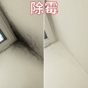 專業(yè)地毯清洗，辦公室清潔，羊毛地毯清潔，窗簾沙發(fā)地毯清洗 除