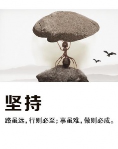 江蘇五年制專轉本細讀暑假班