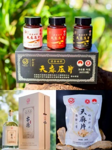 昭通野生天麻功效